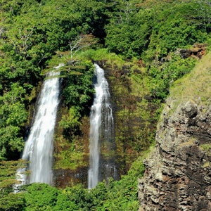 以下が含まれることがあります： 緑豊かな崖の側面に2つの滝が流れ落ち、熱帯の植物に囲まれています。水は白く泡立ち、濃い緑の植物との鮮やかなコントラストを生み出しています。