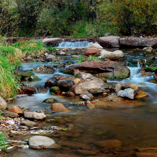 Beautiful creek flowing among the surrounding forest with a small waterfall in the background. Water movement has blurred motion for effect.