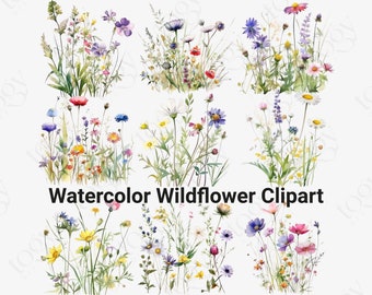 Watercolor Meadow Flowers Clipart PNG – Wildflowers Floral Border & Botanical Elements