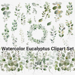 Watercolor Eucalyptus Leaves Clipart, Eucalyptus Shower Greenery Clipart, Green Leaves Clipart Eucalyptus Corner Border Clipart Greenery Set