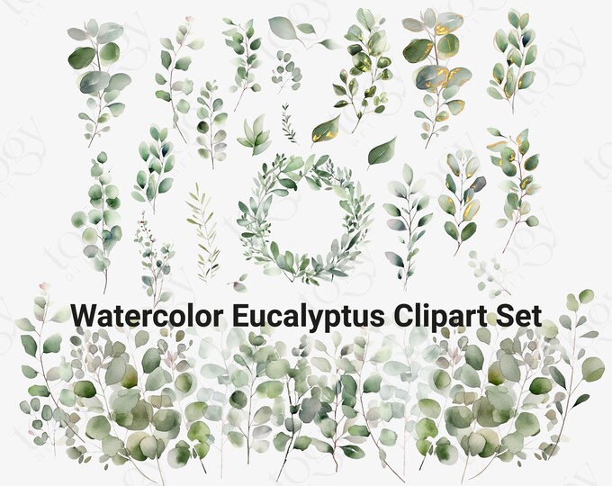 Watercolor Eucalyptus Leaves Clipart, Eucalyptus Shower Greenery ...