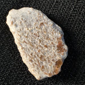May include: An irregular, flat stone specimen featuring a textured surface with a honeycomb-like pattern. The rock displays a mix of light beige, cream, and warm amber-brown tones, with a porous, weathered appearance across its entire surface area.