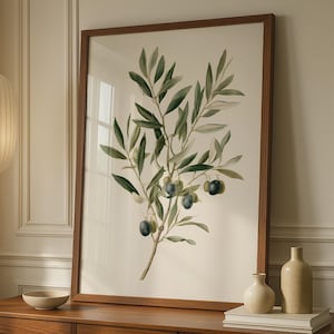 Botanische print van een olijftak, vintage botanische muurdecoratie, poster voor keukendecoratie