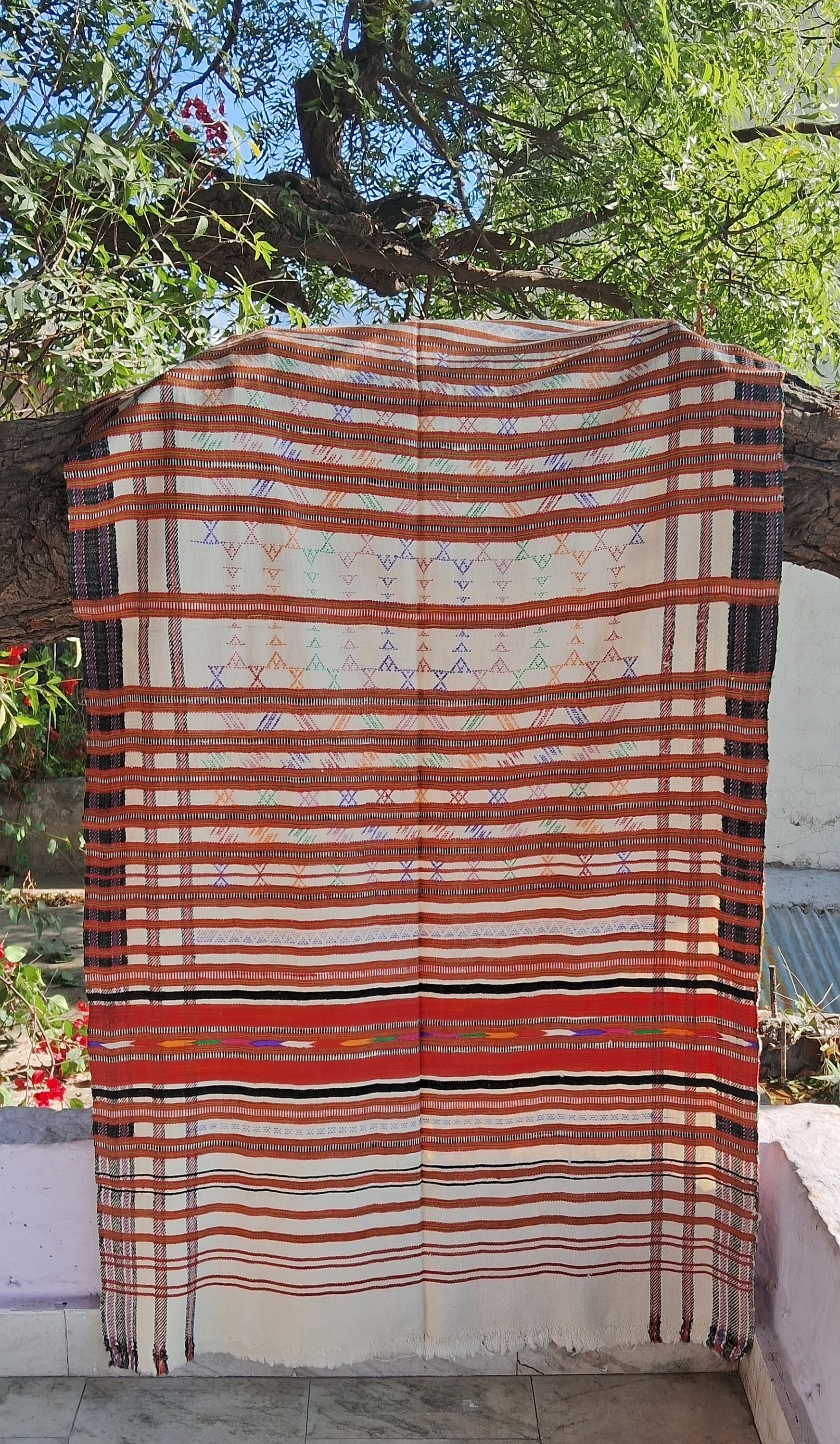 pattu shawl
