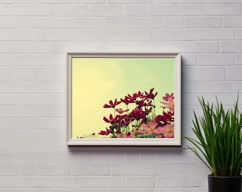 Cosmos Flower Photo Art Print: Floral Wall Decor (Digital Download)