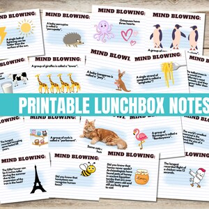 Notes de déjeuner, cartes de boîte à lunch, notes de boîte à lunch, vous êtes, le saviez-vous, notes de déjeuner pour les enfants, faits époustouflants notes de boîte à lunch