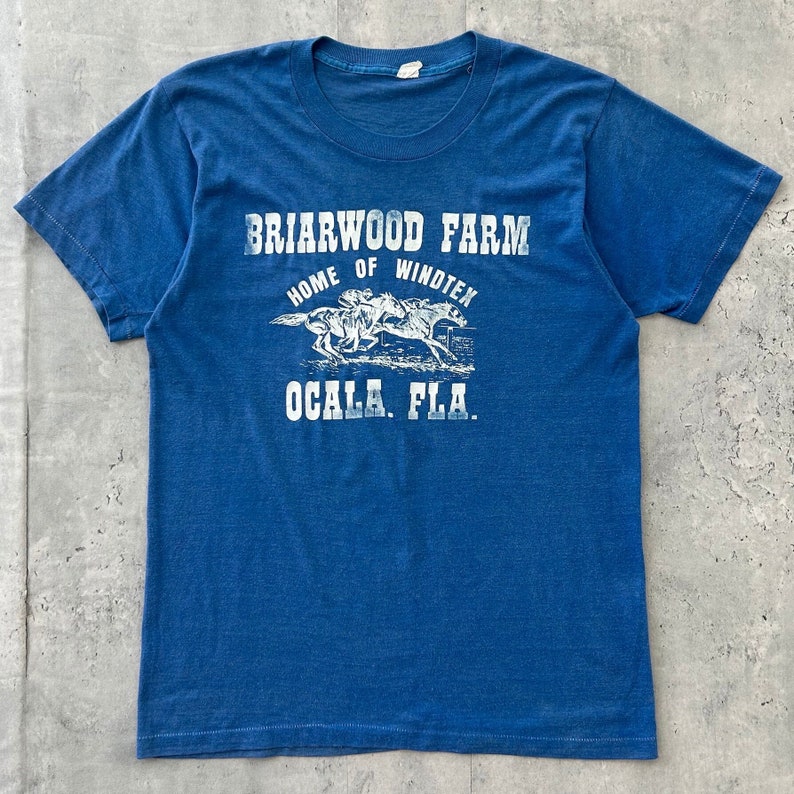 Vintage 70s Faded Graphic tee L blue T Shirt Briarwood Farm Windtex Ocala Florida fruit of the loom made in USA image 1