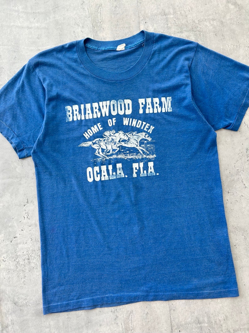 Vintage 70s Faded Graphic tee L blue T Shirt Briarwood Farm Windtex Ocala Florida fruit of the loom made in USA image 2