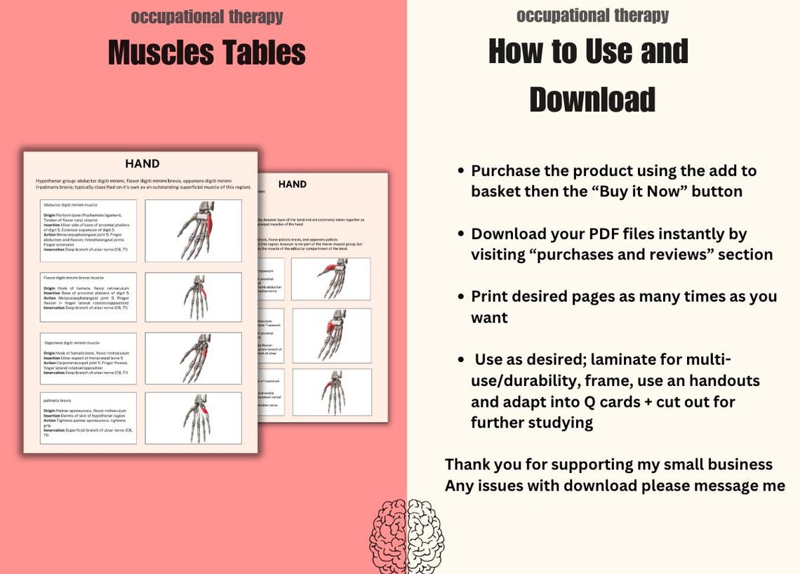 Master Muscle Table Muscles Table Occupational Therapy, Hand Therapy, Upper Limb Study ...
