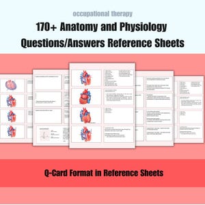 Cardiovascular Anatomy Physiology Flashcards: 170+ Q&A Study Guide (Digital Download)