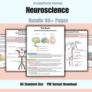 Neuroscience Notes: Occupational Therapy Study Guide (Digital Download)