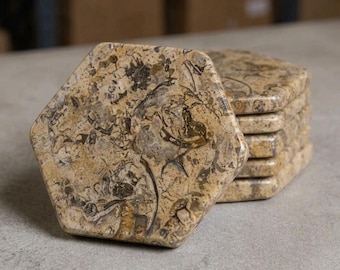Fossil Stone Hexagon Coasters Set of 6, Natural Stone Tea Coffee Coasters, Beige Table Decor, Housewarming Gift