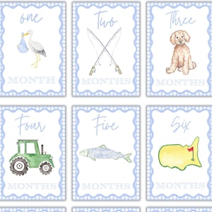 May include: Nine baby milestone cards with blue and white checkered borders. Each card features a different number from one to nine, along with a corresponding illustration. The illustrations include a stork, fishing rods, a dog, a tractor, a fish, a golf course, a golf cart, fishing lures, and ducks.