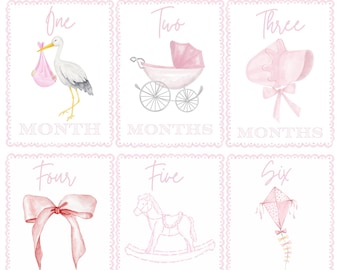 DIGITAL FILE Baby Girl Milestone Cards with Hospital Card