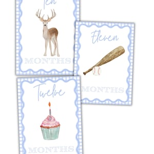 May include: Three blue and white gingham baby milestone cards with illustrations of a deer, a baseball bat and ball, and a cupcake with a candle. The cards say "Ten Months", "Eleven Months", and "Twelve Months".