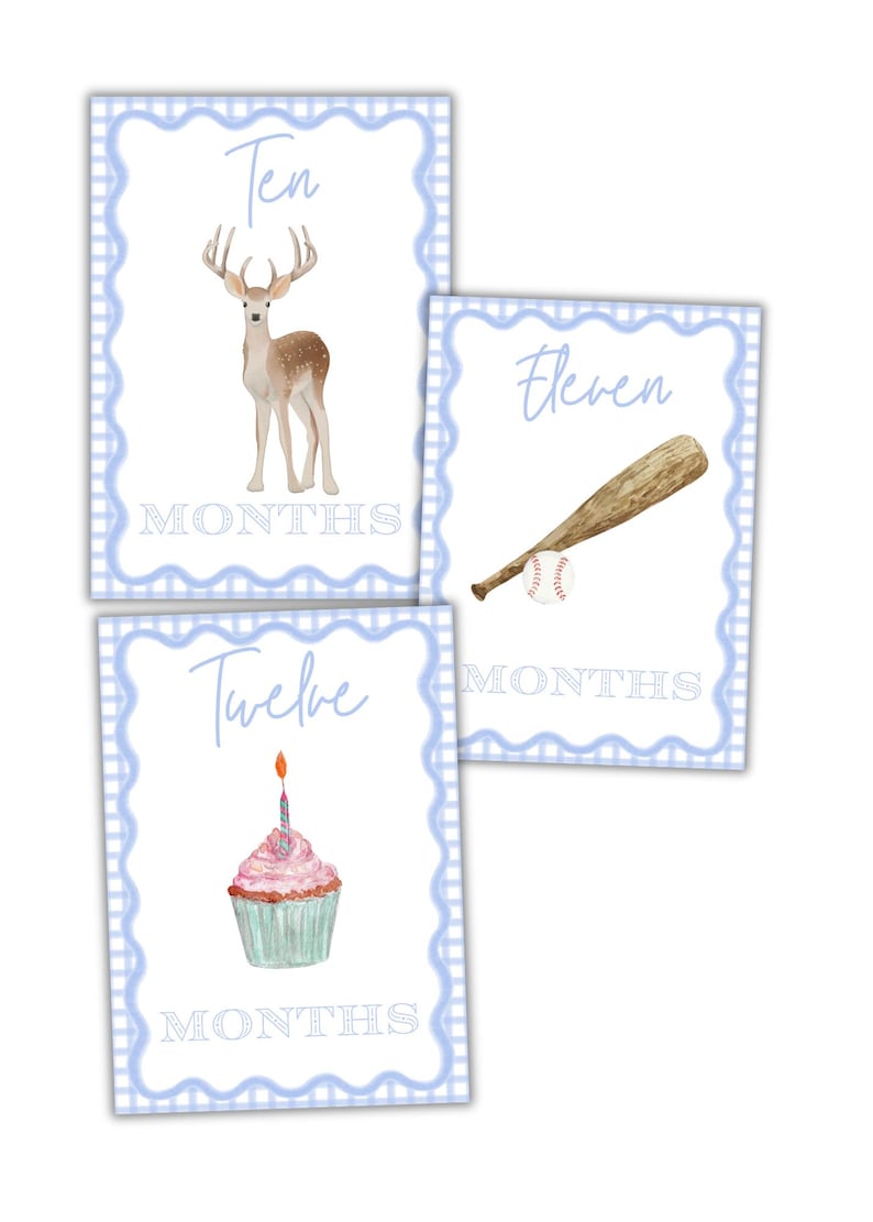 May include: Three blue and white gingham baby milestone cards with illustrations of a deer, a baseball bat and ball, and a cupcake with a candle. The cards say "Ten Months", "Eleven Months", and "Twelve Months".