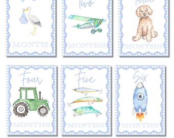 Baby Boy Milestone Cards