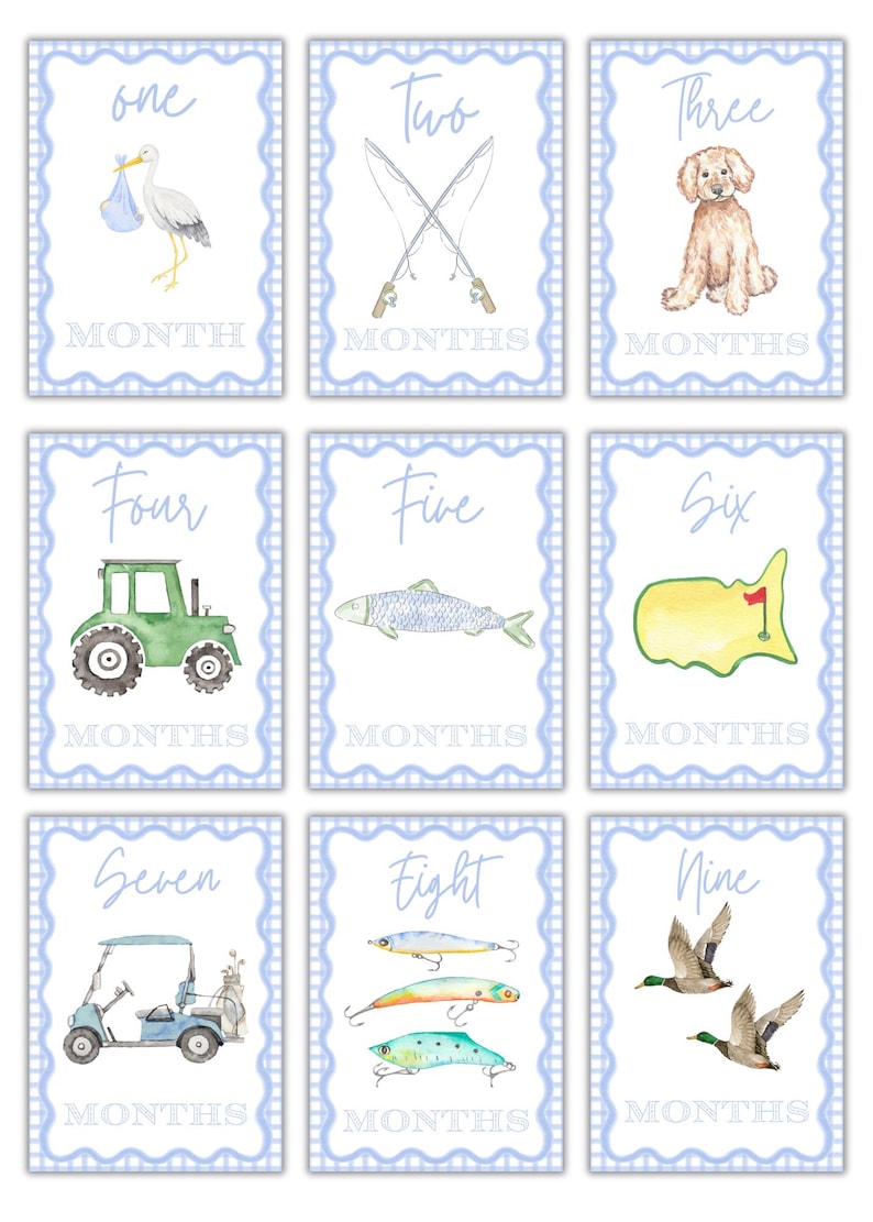 May include: Nine baby milestone cards with blue and white checkered borders. Each card features a different number from one to nine, along with a corresponding illustration. The illustrations include a stork, fishing rods, a dog, a tractor, a fish, a golf course, a golf cart, fishing lures, and ducks.