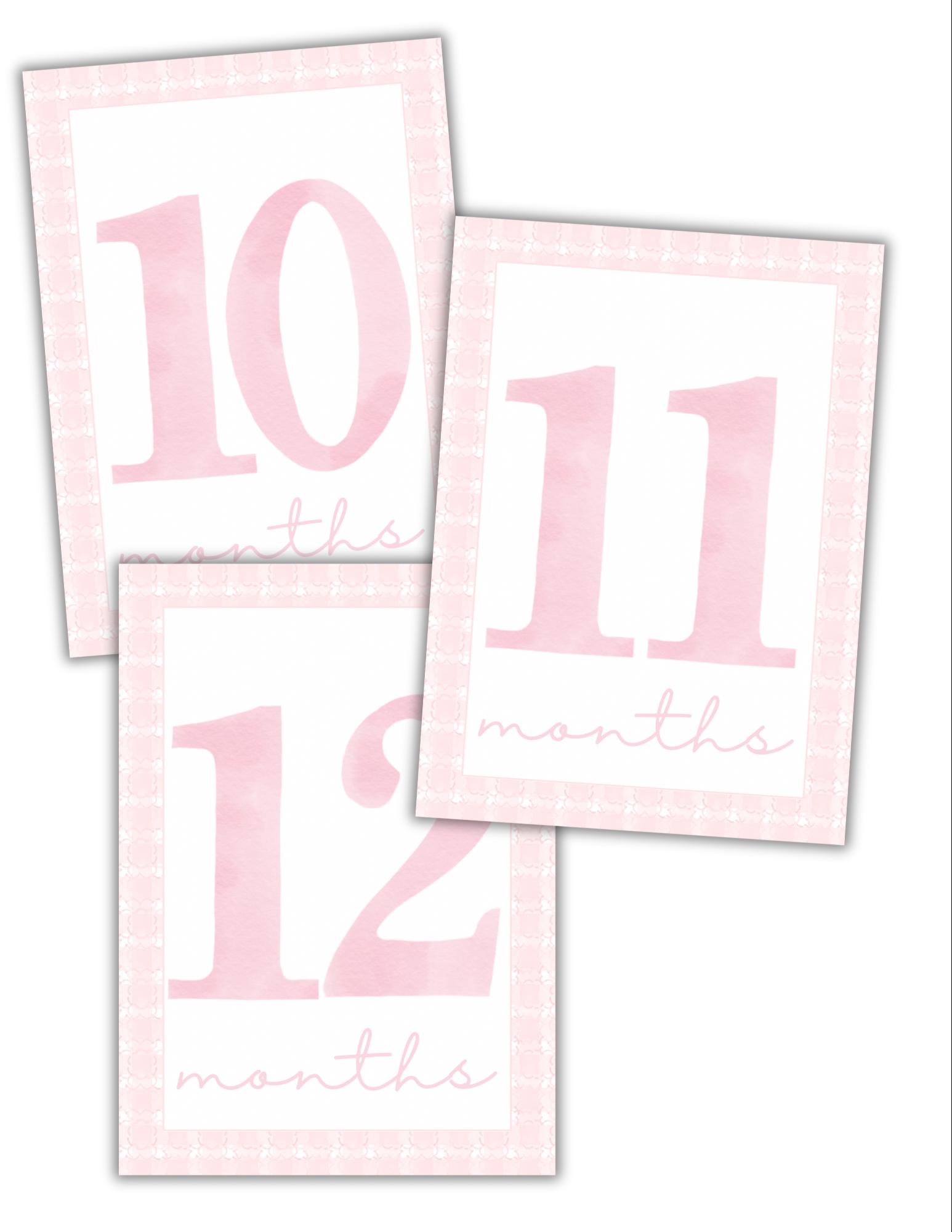Girls Pink Gingham Detailed Milestone Photo Cards - Etsy