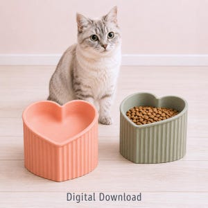 Pode incluir: Um gato malhado cinza-claro senta-se atrás de duas tigelas para animais de estimação em forma de coração com texturas caneladas verticais. Uma tigela é de cor pêssego suave e está vazia, enquanto a outra é verde sálvia e contém ração seca.