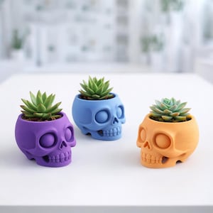 Skull Plant Pot | Gothic Planter | Cactus - Succulent Holder | Human Face Vase | 3D STL File - Digital Download