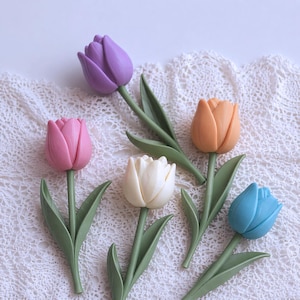 Puede incluir: Una colección de coloridas flores de tulipán en tonos morado, rosa, naranja, blanco y azul. Cada tulipán tiene tallos y hojas verdes. Las flores están dispuestas sobre una superficie blanca, similar al encaje.