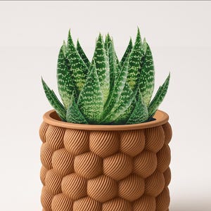 Puede incluir: Una planta de aloe vera en maceta con hojas verdes moteadas. La planta está en una maceta de color terracota con un diseño esférico texturizado. La maceta tiene una abertura ancha y redonda y un borde liso.