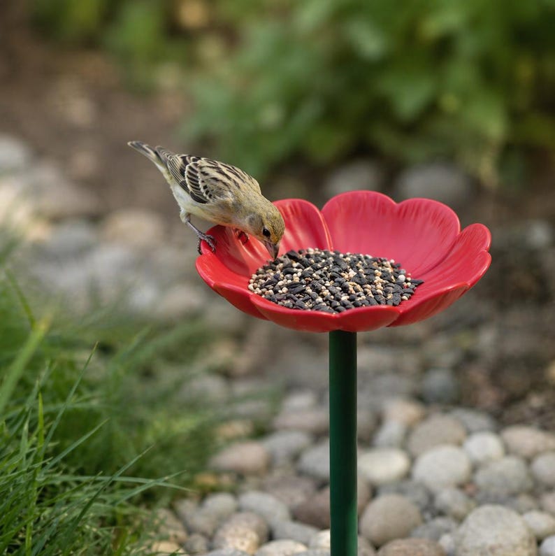 Op de afbeelding: Een kleine bruin-witte vogel zit op de rand van een felrode, bloemvormige vogelvoederbak gevuld met zwarte en witte zaden. De voederbak wordt ondersteund door een dunne groene metalen stengel die rechtop in de tuingrond staat.