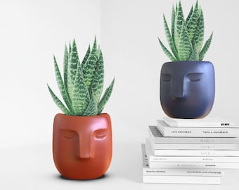 Face Planter, 3D Head Plant Pot, Minimalist Cute Flower Pot, Bohemian Vase, 3D Vase Print Files, Special Gift, 3D STL File Digital Download