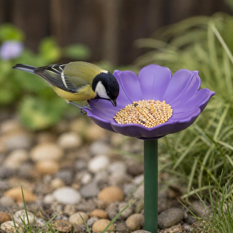 Op de afbeelding: Een kleine vogel met gele, zwarte en witte veren zit op een paarse, bloemvormige vogelvoederbak gevuld met gemengde zaden. De voederbak wordt ondersteund door een dunne groene steel, wat een stabiel platform biedt voor de vogel om te eten.
