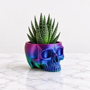 May include: A skull-shaped planter with a metallic iridescent finish that shifts between shades of blue, purple, and green. A green succulent plant with white speckled patterns on its pointed leaves is planted inside the skull container.