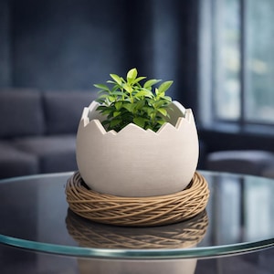 Puede incluir: Una maceta blanca en forma de huevo con un borde dentado, llena de plantas verdes con hojas. La maceta se asienta sobre una base redonda, tejida, de color marrón claro. La maceta y la base están sobre una mesa de cristal.