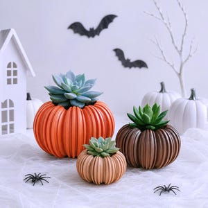 May include: Three ribbed pumpkin-shaped planters in orange, light brown, and dark brown, each containing a green succulent plant. The planters feature vertical ridges and a rounded form, arranged together as a set of decorative botanical containers.