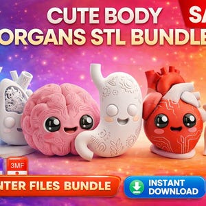 Könnte beinhalten: Ein farbenfrohes Bild zeigt eine Sammlung niedlicher, cartoonartiger 3D-gedruckter Körperorgane, darunter Lunge, Gehirn, Magen, Herz und Niere. Der Text "CUTE BODY ORGANS STL BUNDLE" und "3D PRINTER FILES BUNDLE" sind zu sehen. Das Bild enthält auch das Wort "SALE!" und "INSTANT DOWNLOAD".