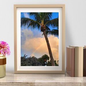 Magical Rainbow Palm Photograph digital download 24 x 36 and three smaller sizes PDF format