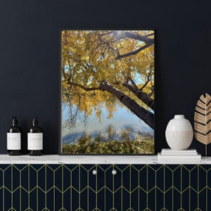 Golden Autumn Tree Digital Print Photograph PDF 24 x 36 and three smaller sizes