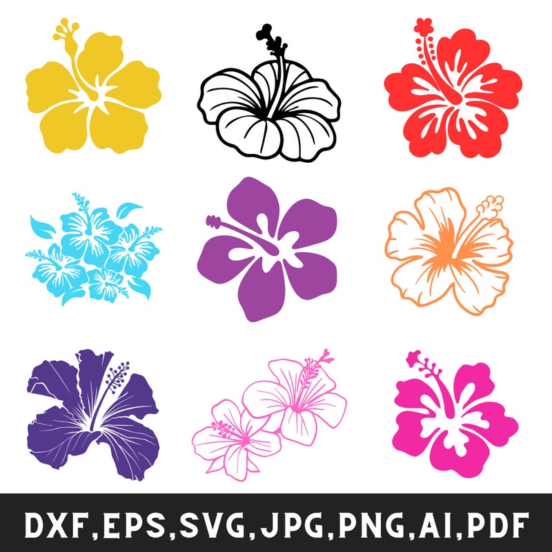 Hibiscus Flower Svg - Etsy