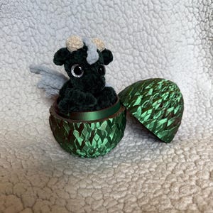 Hatching pocket dragon