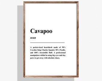 May include: A framed print with the word "Cavapoo" in bold black letters. Below, the definition describes a Cavapoo as a pocket-sized heartthrob, a mix of Cavalier King Charles Spaniel and Poodle, with irresistible fluff.