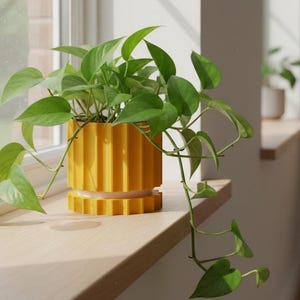 May include: A vibrant yellow cylindrical planter with a vertical ribbed texture and a matching base tray, containing a lush green pothos plant with trailing heart-shaped leaves, positioned on a light-colored wooden windowsill near a window.