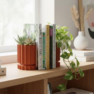 May include: A terracotta-colored planter with a ribbed design holds a succulent. Books are arranged between two matching planters. The books are titled "Wild at Home", "Cactus", "Styled", and "Root Nurture Grow". A trailing green plant is also visible.