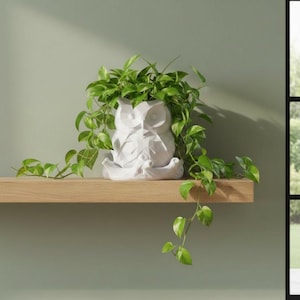 3D Printed Owl Bookend Planter – Geometric Owl Pot – Functional Bookend – Modern Desk Decor – Cute Gift for Readers & Plant Lovers