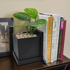 May include: A black square planter with a green plant and small stones sits on a dark brown surface. Several books with colorful spines are arranged to the right of the planter. A framed picture hangs on the wall.