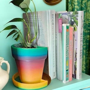 Op de afbeelding: Een levendige, regenboogkleurige plantenpot met bijpassende schotel bevat een groene plant. De pot staat op een lichtblauwe plank naast een rij boeken met titels als "Happy Cactus". Een goudkleurig decoratief stuk hangt erboven.