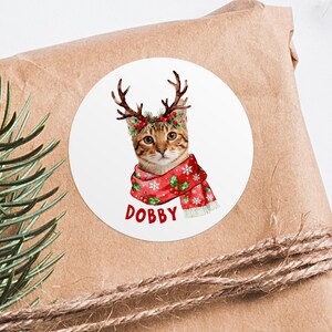 Op de afbeelding: Een ronde sticker met een kat met rendiergewei en een rode sjaal met sneeuwvlokken en bessen. De naam van de kat, "Dobby", staat in het rood op de sjaal. De sticker zit op een bruin papieren pakket.