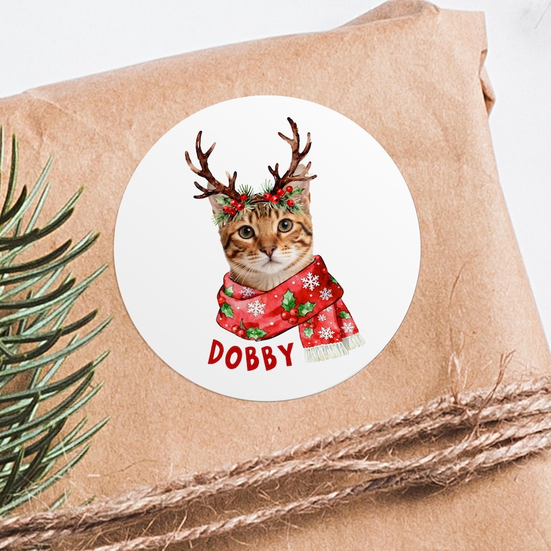 Op de afbeelding: Een ronde sticker met een kat met rendiergewei en een rode sjaal met sneeuwvlokken en bessen. De naam van de kat, "Dobby", staat in het rood op de sjaal. De sticker zit op een bruin papieren pakket.