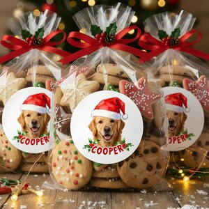 Op de afbeelding: Drie transparante cellofaan zakken gevuld met diverse kerstkoekjes. Elke zak is vastgebonden met een rood lint en versierd met hulst en een dennenappel. Elke zak heeft een ronde sticker met een Golden Retriever met een kerstmuts en de naam "COOPER".