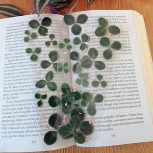 LAST COPIES** Handcrafted clover and gold leaf bookmark