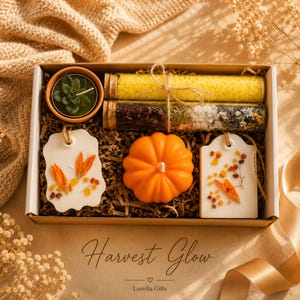 May include: A gift box containing a small succulent in a terracotta pot, two glass tubes filled with yellow and botanical bath salts, two white wax tablets embedded with dried flowers, and an orange pumpkin-shaped candle on brown paper filler.