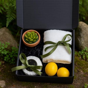 Thinking of You, Succulent Gift Box, Missing You, Friendship Gift, Care Package, Sending Hugs, Succulent Gift, Get Well Soon, Gift for Her